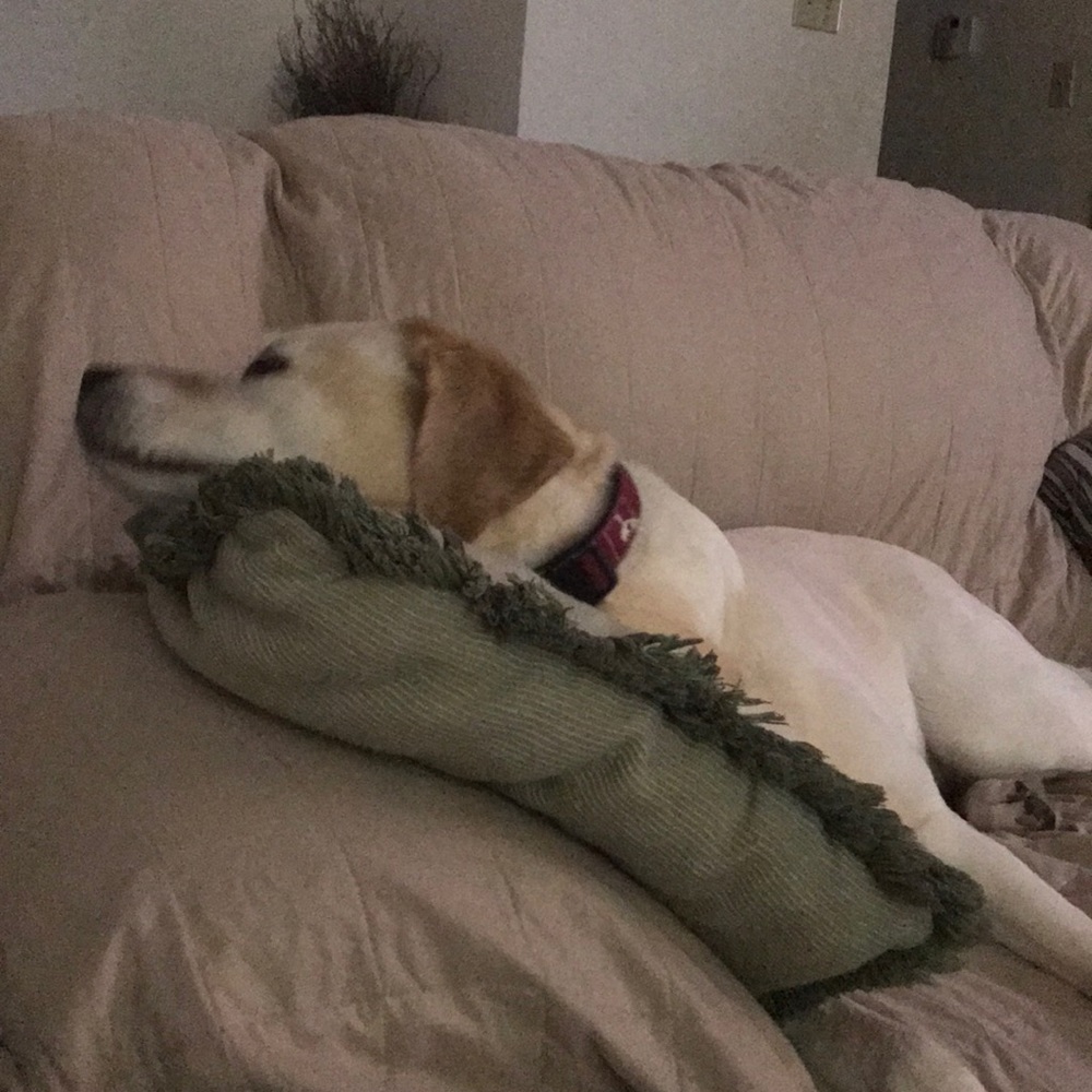 Meet your Posher, Christi